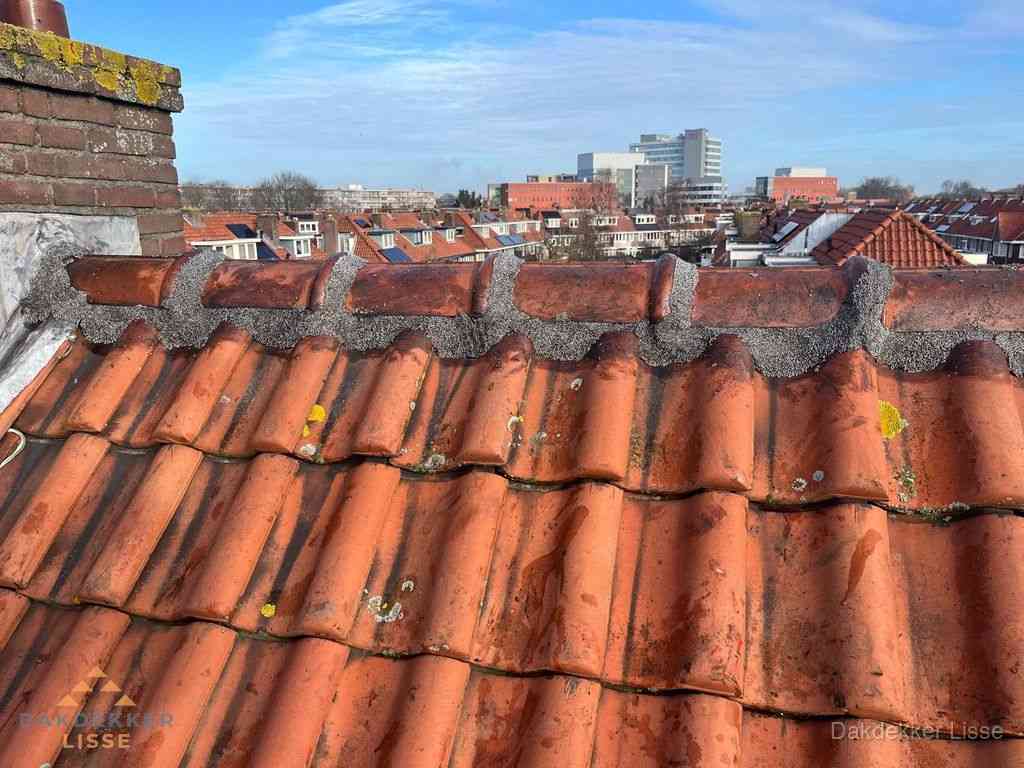 Lisse Daken Renoveren Lisse Daken Renoveren